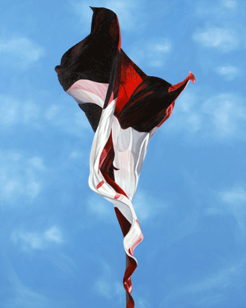 David Garneau, Canadian Flag/Flower, 2005,