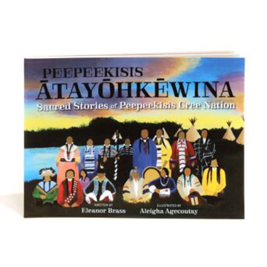 The image displays the cover of