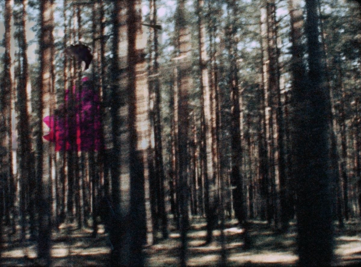 Elian Mikkola, Still from Via Karelia, showing moving shot of dark trees.