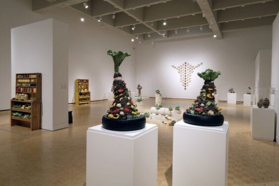 Image de l'installation de 