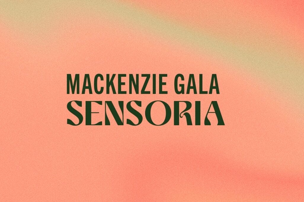 Text on a soft, gradient background blending shades of coral and green. In dark green, the top line boldly announces 