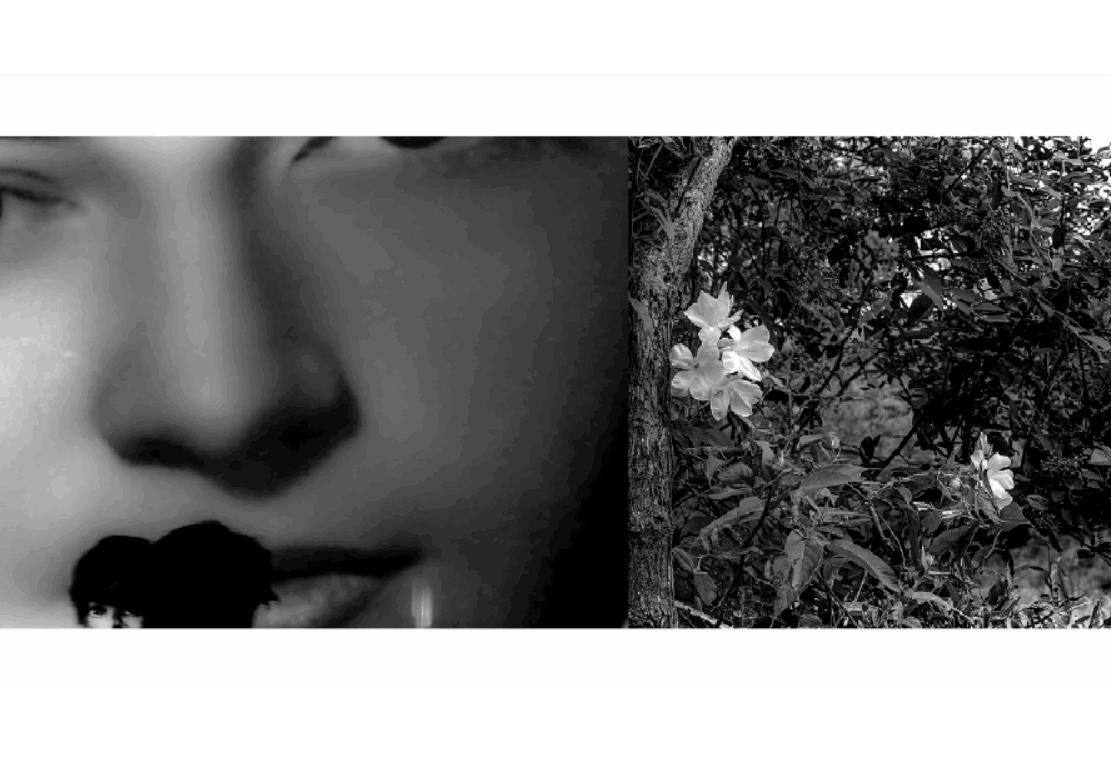 Image en noir et blanc divisée en deux sections. La section de gauche montre un gros plan d'un visage partiellement obscurci, partiellement recouvert d'une forme noire. La section de droite affiche des fleurs et des feuilles au milieu du feuillage. L’image entière est bordée de blanc et placée sur un fond bleu sarcelle.