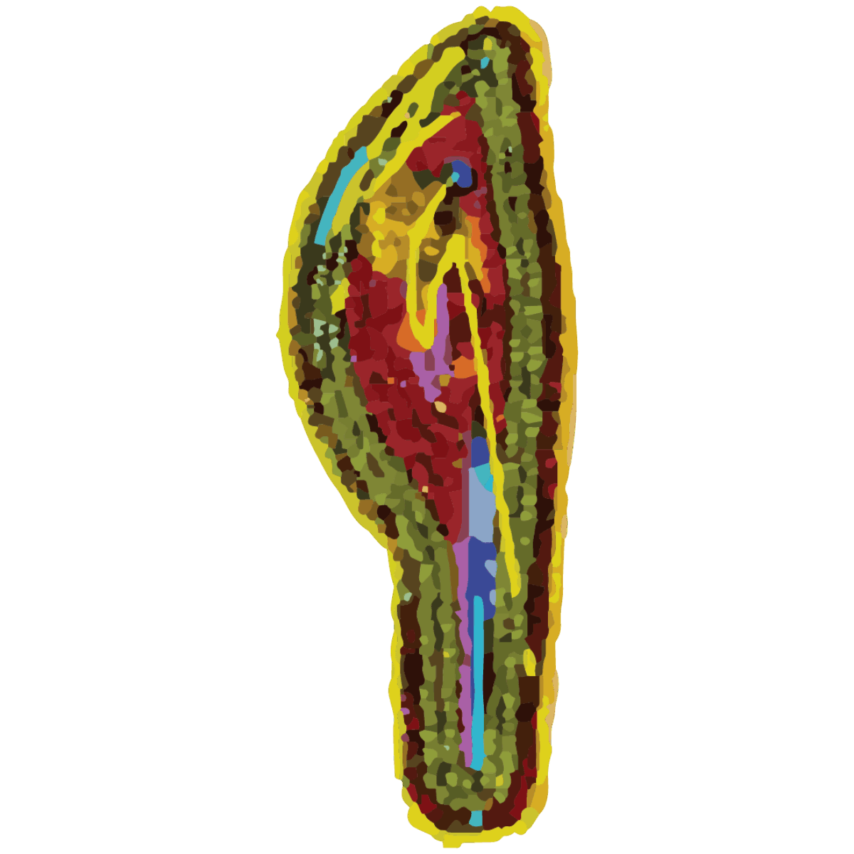 Shushkitew Collective Logo