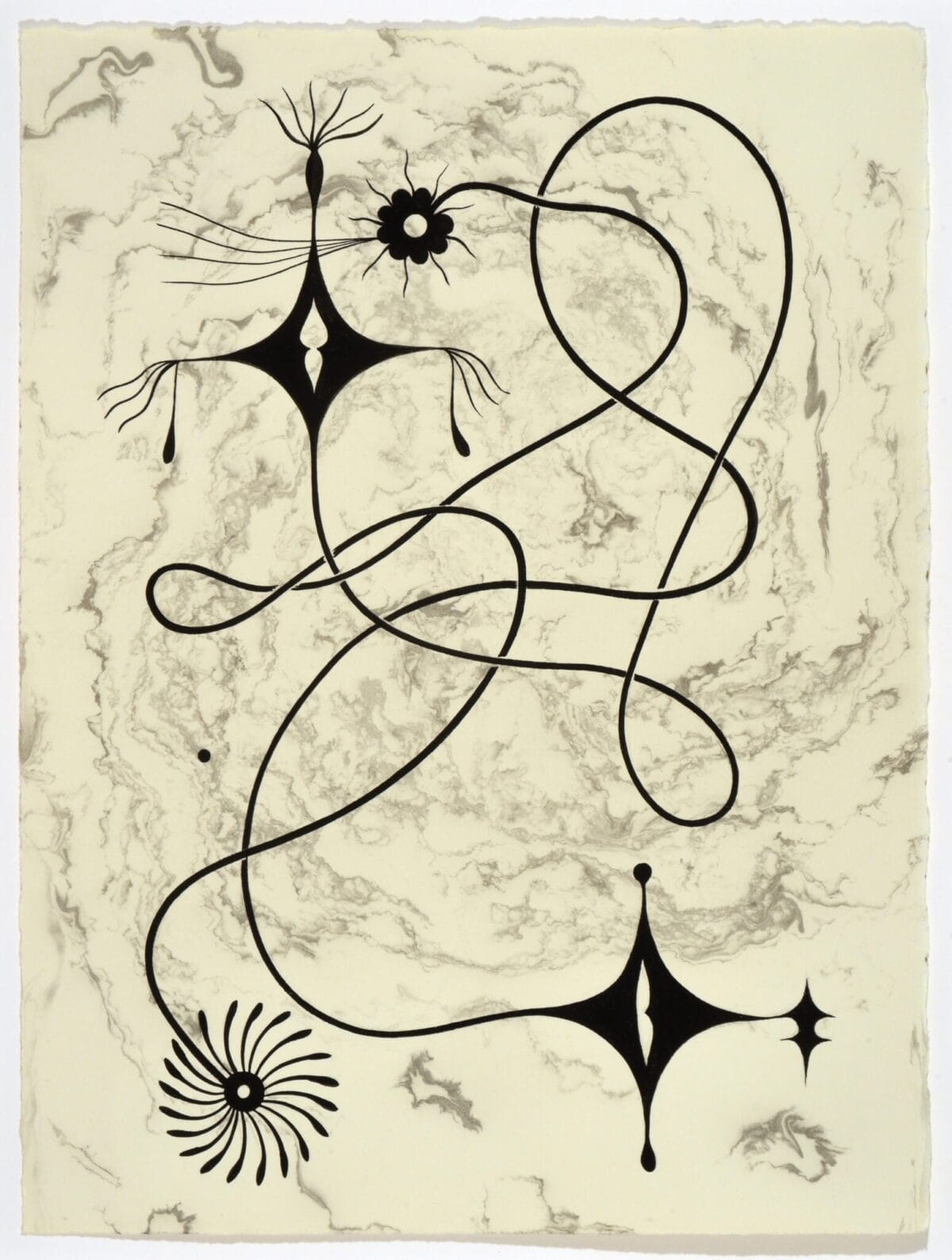 An abstract artwork from the MacKenzie Gala SENSORIA collection, featuring interconnected, curving black lines and irregular star-like shapes on a marbled beige background. The design evokes dynamic movement and organic forms, suggesting a blend of natural and surreal elements.