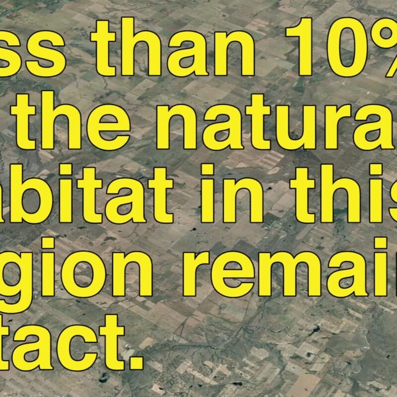 Aerial view of a landscape with extensive agricultural fields. Overlaid yellow text reads, 