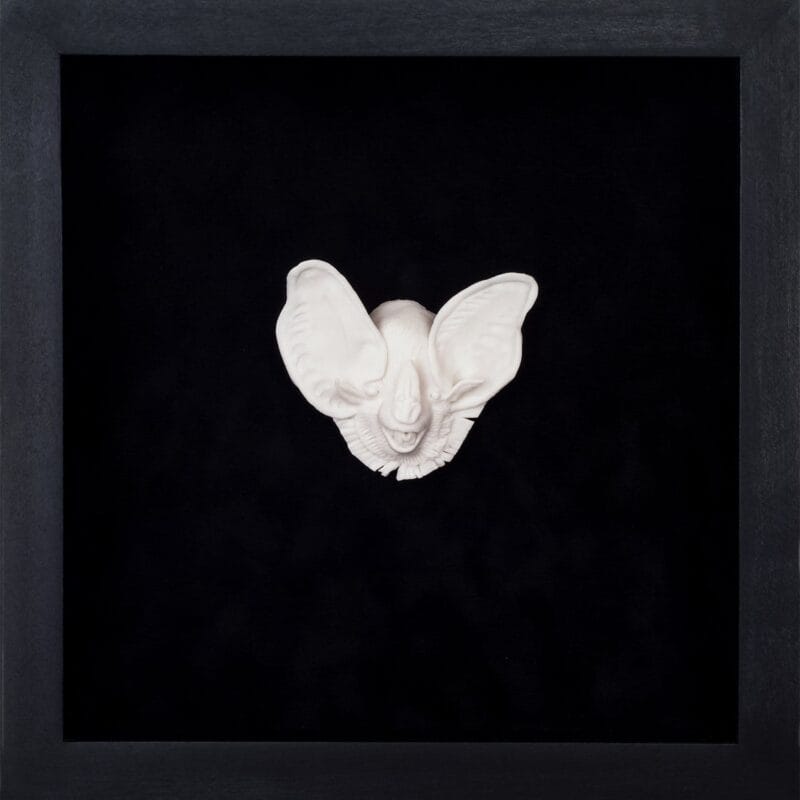 Artist Shary Boyle's 