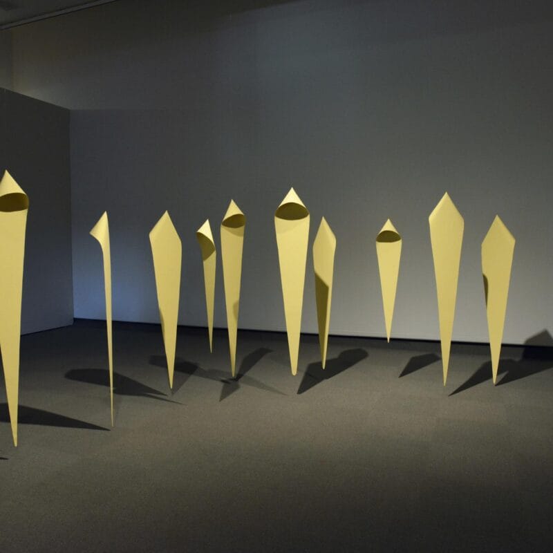 Picture of artist Faye Heavyshield's 