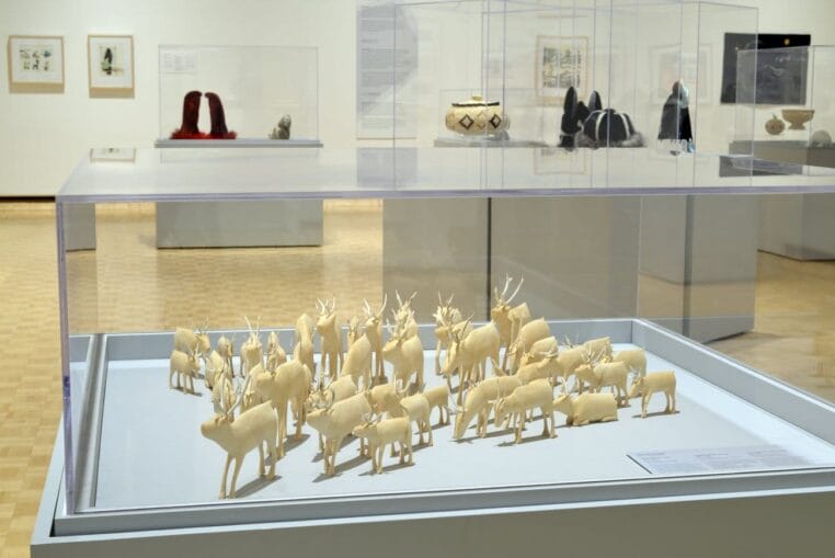 Installation view of