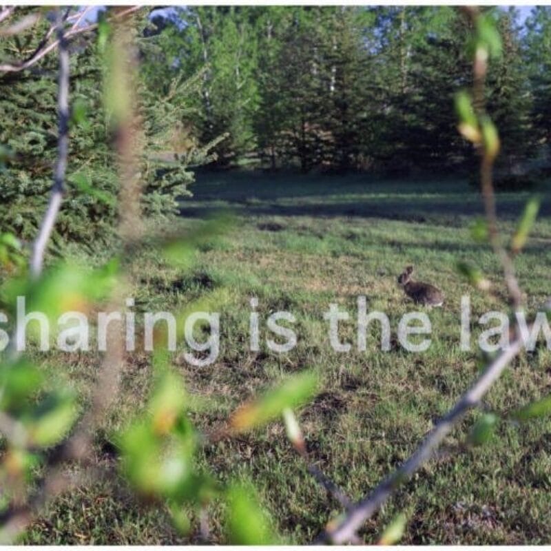James Nicholas and Sandra Semchuk, sharing is the law