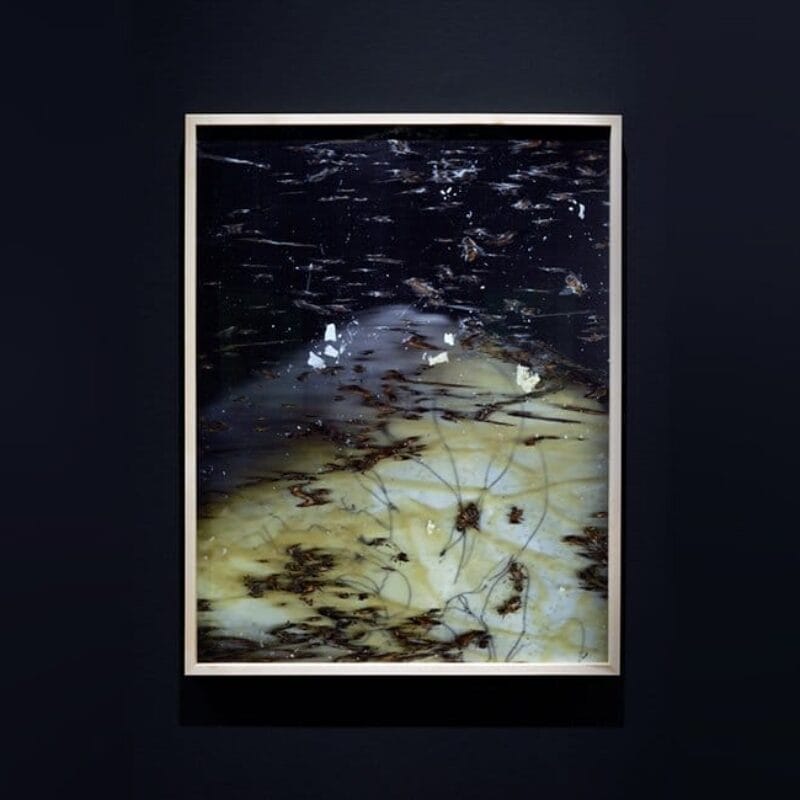 A framed abstract image against a dark background. The image contains irregular shapes and colors, primarily shades of dark brown, yellow, and white, with scattered lines and textures resembling organic matter or brushstrokes.