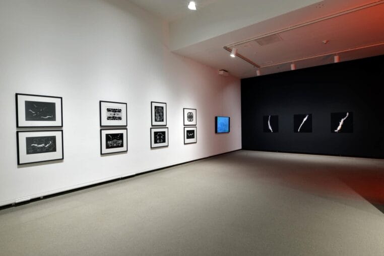Installation view, Touching Earth and Sky, Organized by the MacKenzie Art Gallery, 2021. Photo credit: Don Hall, courtesy of the MacKenzie Art Gallery.