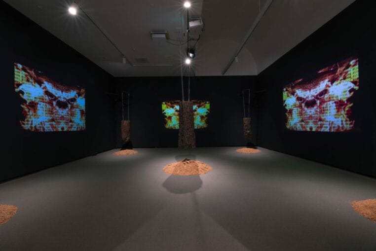 Installation view, Touching Earth and Sky, Organized by the MacKenzie Art Gallery, 2021. Photo credit: Don Hall, courtesy of the MacKenzie Art Gallery.