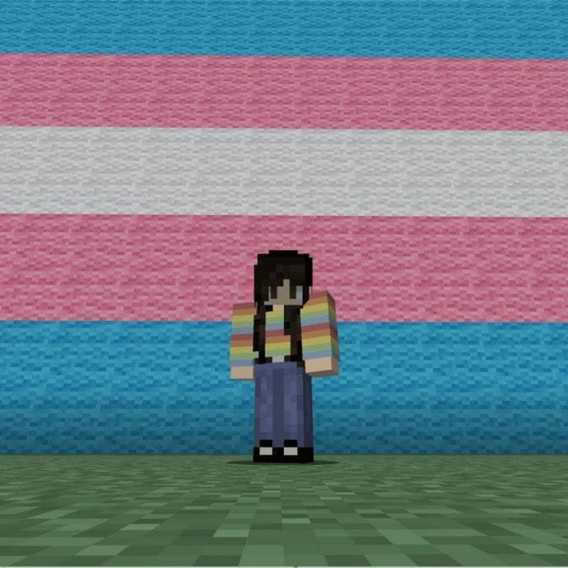 Minecraft Avatar isolated against a wall depicting the Transgender flag colours.