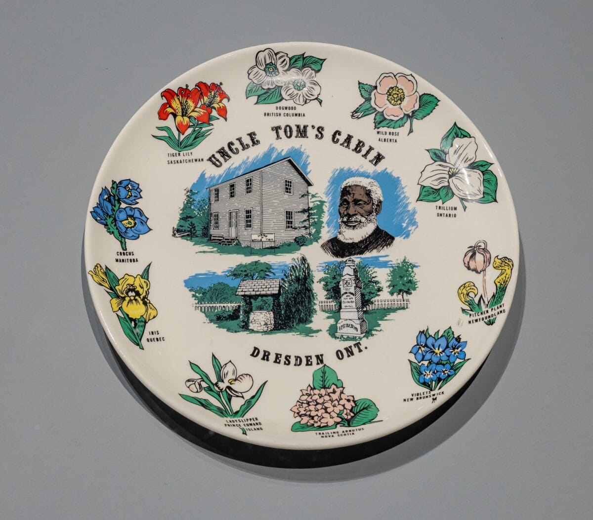 Photo of colourful Ontario souvenir plate.