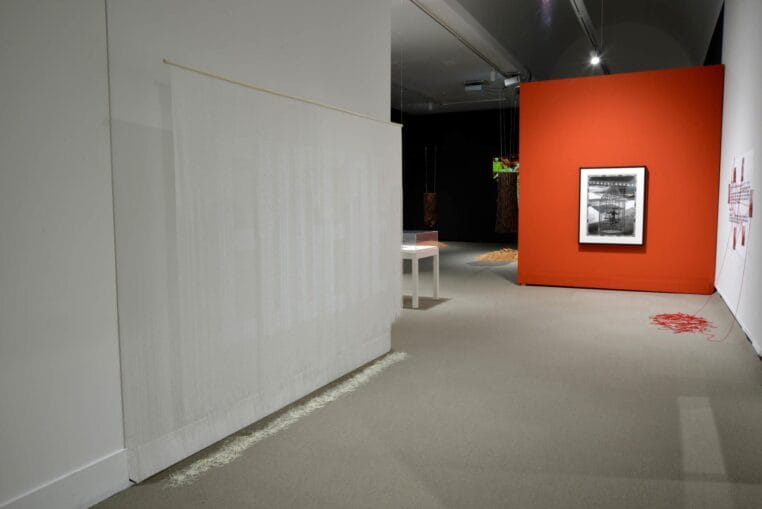 Installation view, Touching Earth and Sky, Organized by the MacKenzie Art Gallery, 2021. Photo credit: Don Hall, courtesy of the MacKenzie Art Gallery.